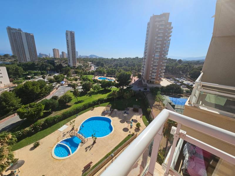 Apartamento - Venta - Benidorm - Benidorm